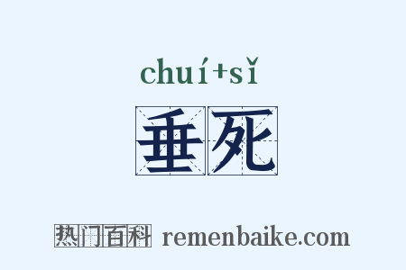 垂死是什么意思的图片